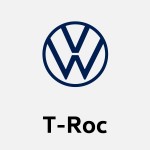 VW T-Roc Winter Wheels